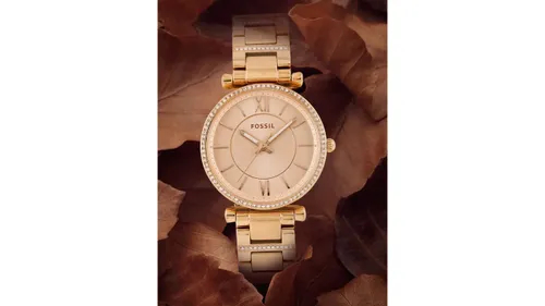 Fossil Carlie.webp