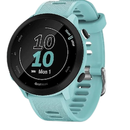 Garmin Forerunner 165 Smartwatch