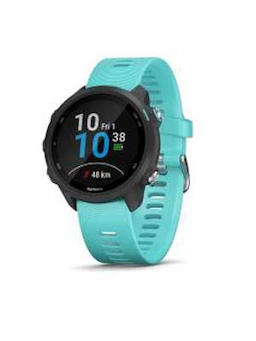 Garmin Unisex Blue Forrerunner Music Smart Watch 245