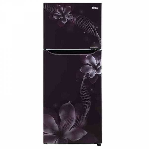LG GL-N292DPOY 260 Ltr Double Door Refrigerator