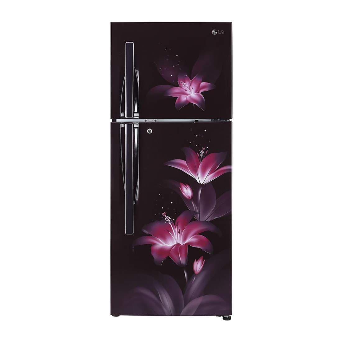 LG GL-T302RPGU 284 Ltr Double Door Refrigerator