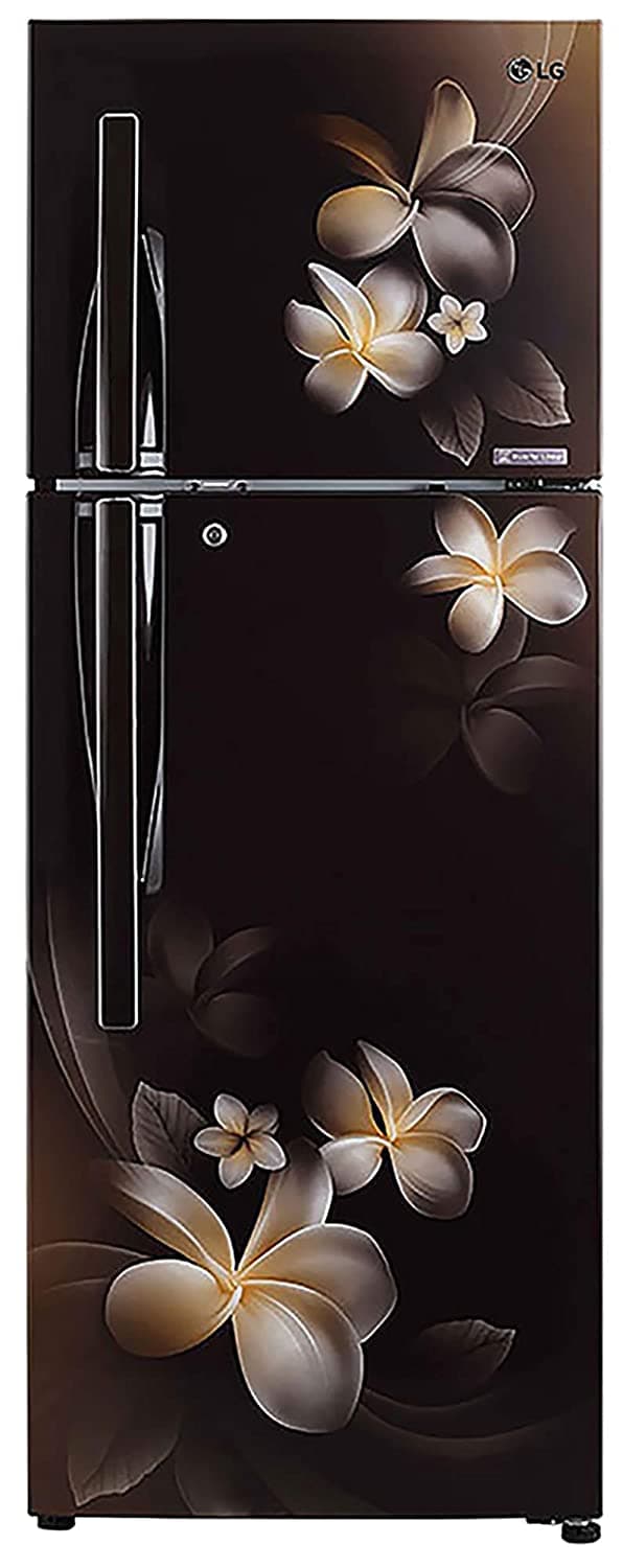 LG GL-T322RHSM 308 Ltr Double Door Refrigerator