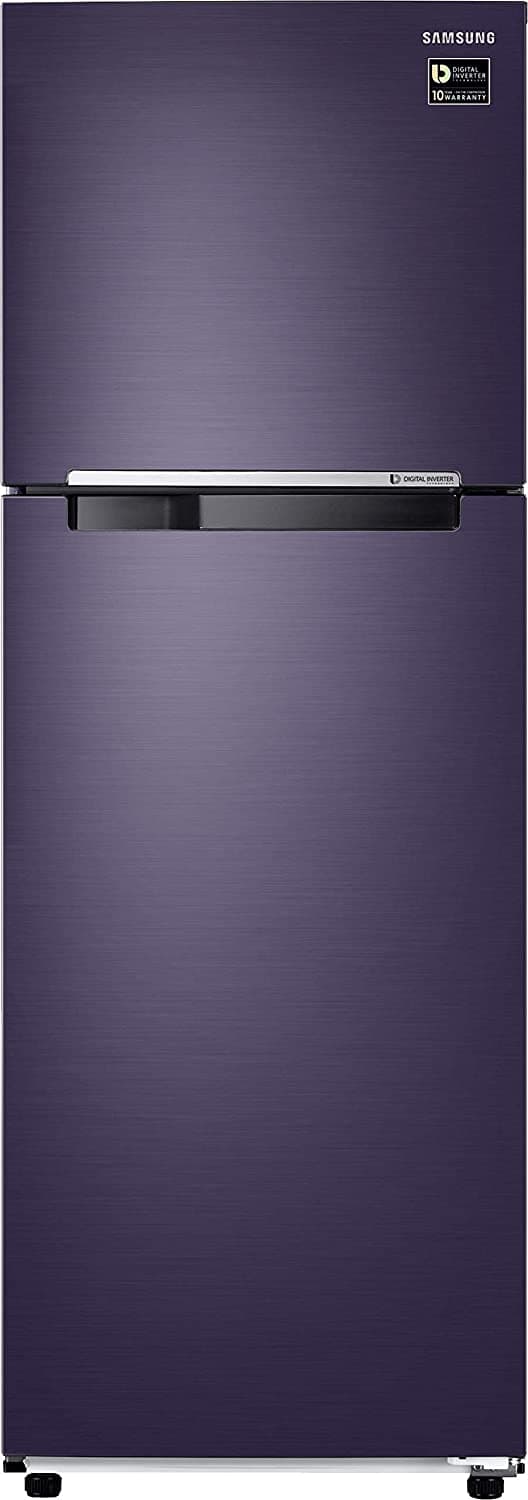Samsung RT30T3422UT 275 Ltr Double Door Refrigerator