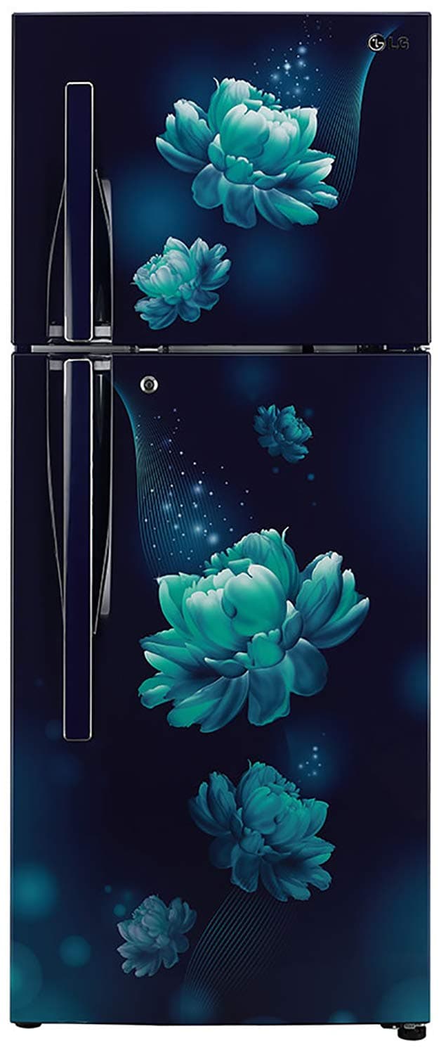 LG GL-T292RBC3 260 Ltr Double Door Refrigerator