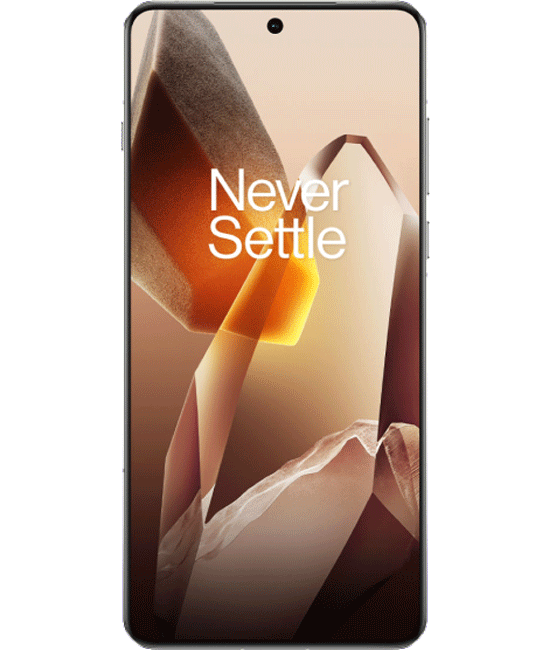 OnePlus 13