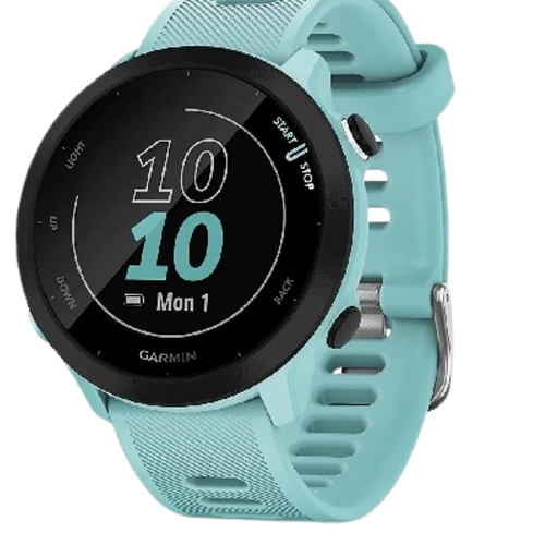 Forerunner 55 Smartwatch