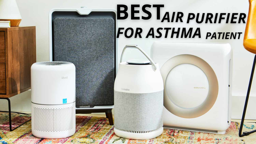 Best Air Purifiers for Asthma Patients review_img_4