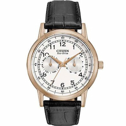 Citizen AO9003-16A Watch - For Men Citizen AO9003-16A Watch - For Men