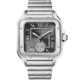 Cartier WSSA0076 Santos Large Cartier WSSA0076 Santos Large