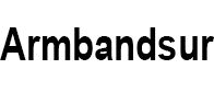 Armbandsur Armbandsur_logo